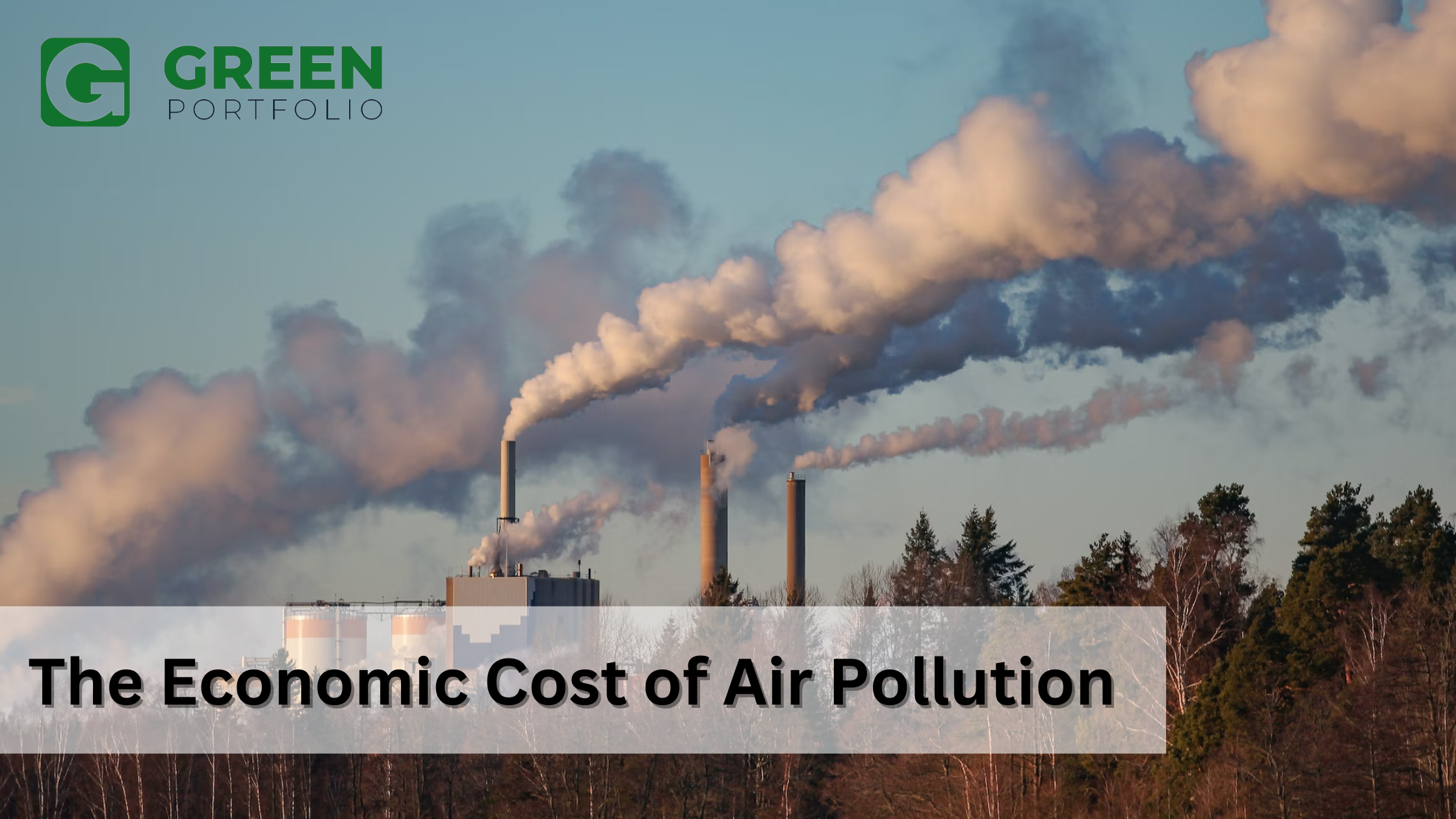The Economic Cost of Air Pollution